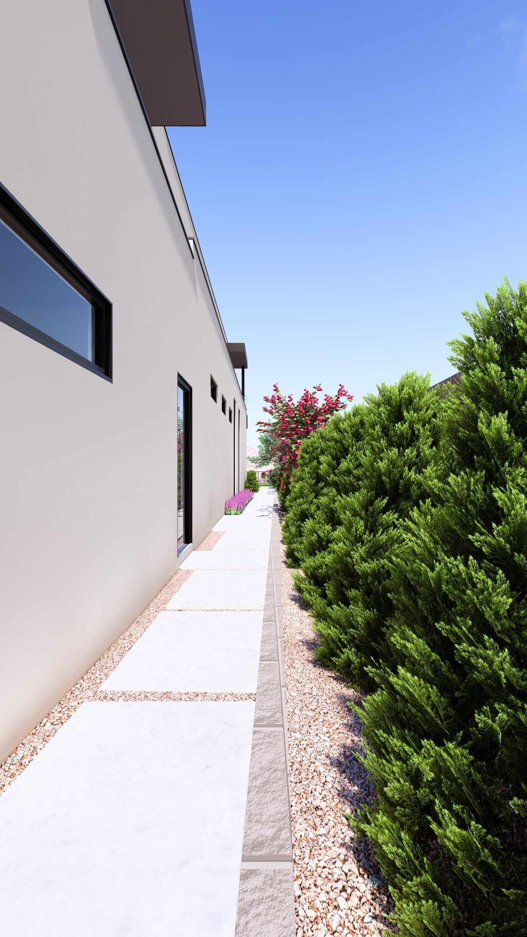 A narrow side walkway bordered by tall greenery and desert plants beside a modern Ascaya residence.